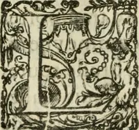 Picture 51 of 88 from Le romant des chevaliers de la gloire (1612), leaf 169