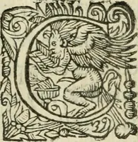 Picture 63 of 88 from Le romant des chevaliers de la gloire (1612), leaf 239