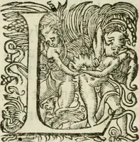 Picture 64 of 88 from Le romant des chevaliers de la gloire (1612), leaf 241