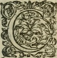 Picture 71 of 88 from Le romant des chevaliers de la gloire (1612), leaf 268