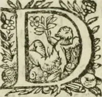 An illustration from Le romant des chevaliers de la gloire (1612)