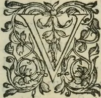 Picture 80 of 88 from Le romant des chevaliers de la gloire (1612), leaf 316
