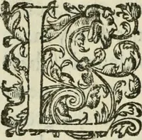 Picture 81 of 88 from Le romant des chevaliers de la gloire (1612), leaf 319