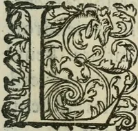 Picture 82 of 88 from Le romant des chevaliers de la gloire (1612), leaf 320