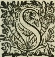 An illustration from Le romant des chevaliers de la gloire (1612)