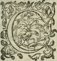 An illustration from Le romant des chevaliers de la gloire (1612)