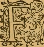 An illustration from Le romant des chevaliers de la gloire, : contenant plvsievrs ... aduentures des princes ... qui parurent aux courses faictes à la Place royale pour la feste des alliances de France & d'Espagne. Avec la description de levrs entrees, equipages, habits, machines, deuises, armes & blasons de leurs maisons. (1612)