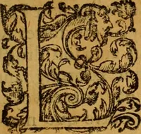 An illustration from Le romant des chevaliers de la gloire, : contenant plvsievrs ... aduentures des princes ... qui parurent aux courses faictes à la Place royale pour la feste des alliances de France & d'Espagne. Avec la description de levrs entrees, equipages, habits, machines, deuises, armes & blasons de leurs maisons. (1612)