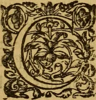 An illustration from Le romant des chevaliers de la gloire, : contenant plvsievrs ... aduentures des princes ... qui parurent aux courses faictes à la Place royale pour la feste des alliances de France & d'Espagne. Avec la description de levrs entrees, equipages, habits, machines, deuises, armes & blasons de leurs maisons. (1612)