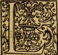 An illustration from Le romant des chevaliers de la gloire, : contenant plvsievrs ... aduentures des princes ... qui parurent aux courses faictes à la Place royale pour la feste des alliances de France & d'Espagne. Avec la description de levrs entrees, equipages, habits, machines, deuises, armes & blasons de leurs maisons. (1612)