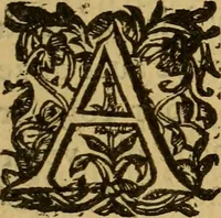 An illustration from Le romant des chevaliers de la gloire, : contenant plvsievrs ... aduentures des princes ... qui parurent aux courses faictes à la Place royale pour la feste des alliances de France & d'Espagne. Avec la description de levrs entrees, equipages, habits, machines, deuises, armes & blasons de leurs maisons. (1612)