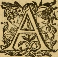 An illustration from Le romant des chevaliers de la gloire, : contenant plvsievrs ... aduentures des princes ... qui parurent aux courses faictes à la Place royale pour la feste des alliances de France & d'Espagne. Avec la description de levrs entrees, equipages, habits, machines, deuises, armes & blasons de leurs maisons. (1612)