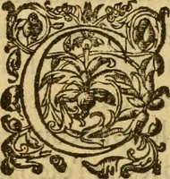 An illustration from Le romant des chevaliers de la gloire, : contenant plvsievrs ... aduentures des princes ... qui parurent aux courses faictes à la Place royale pour la feste des alliances de France & d'Espagne. Avec la description de levrs entrees, equipages, habits, machines, deuises, armes & blasons de leurs maisons. (1612)