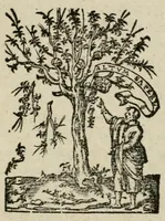 Picture 4 of 6 from Le sacre et covronnement du roy Henry deuxieme de ce nom : [faict & celebré en la ville de Reims en Champaigne] (1547), leaf 9