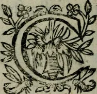 An illustration from Les Adventures estranges de Lycidas cyrien et Cléorithe ehodienne : contenant la conversion de l'un & la réprobation de l'autre (1630)