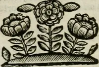 Picture 23 of 239 from Le sagre memorie di Ravenna antica ... (1664), leaf 161