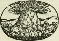 Picture 27 of 239 from Le sagre memorie di Ravenna antica ... (1664), leaf 164