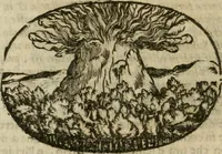 Picture 44 of 239 from Le sagre memorie di Ravenna antica ... (1664), leaf 203