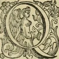 Picture 78 of 239 from Le sagre memorie di Ravenna antica ... (1664), leaf 290