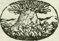 Picture 7 of 239 from Le sagre memorie di Ravenna antica ... (1664), leaf 32