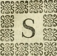 Picture 125 of 239 from Le sagre memorie di Ravenna antica ... (1664), leaf 452