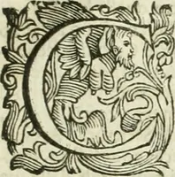 Picture 152 of 239 from Le sagre memorie di Ravenna antica ... (1664), leaf 496