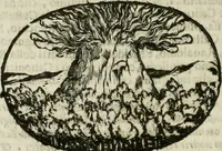 An illustration from Le sagre memorie di Ravenna antica ... (1664)