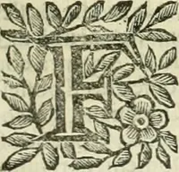 An illustration from Le sagre memorie di Ravenna antica ... (1664)