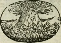 Picture 189 of 239 from Le sagre memorie di Ravenna antica ... (1664), leaf 545