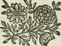 An illustration from Le sagre memorie di Ravenna antica ... (1664)