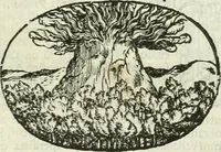 Picture 200 of 239 from Le sagre memorie di Ravenna antica ... (1664), leaf 554