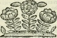 An illustration from Le sagre memorie di Ravenna antica ... (1664)