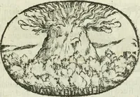 Picture 214 of 239 from Le sagre memorie di Ravenna antica ... (1664), leaf 566