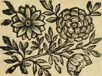 An illustration from Le sagre memorie di Ravenna antica ... (1664)