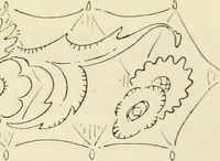 An illustration from Les anciennes faiences de Bruxelles : histoire, fabrication, produits (1922)