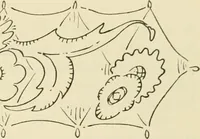 An illustration from Les anciennes faiences de Bruxelles : histoire, fabrication, produits (1922)