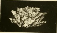 An illustration from Les anciennes faiences de Bruxelles : histoire, fabrication, produits (1922)