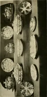 An illustration from Les anciennes faiences de Bruxelles : histoire, fabrication, produits (1922)