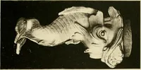 An illustration from Les anciennes faiences de Bruxelles : histoire, fabrication, produits (1922)