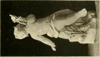 An illustration from Les anciennes faiences de Bruxelles : histoire, fabrication, produits (1922)