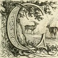 An illustration from Les anglais peints par eux-mêmes : par les sommités littéraires de l'Angleterre (1840)