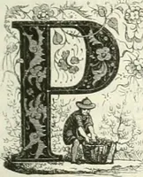 An illustration from Les anglais peints par eux-mêmes : par les sommités littéraires de l'Angleterre (1840)