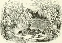 An illustration from Les anglais peints par eux-mêmes : par les sommités littéraires de l'Angleterre (1840)
