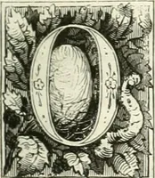 An illustration from Les anglais peints par eux-mêmes : par les sommités littéraires de l'Angleterre (1840)
