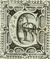 An illustration from Les anglais peints par eux-mêmes : par les sommités littéraires de l'Angleterre (1840)