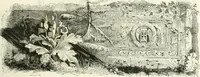 An illustration from Les anglais peints par eux-mêmes : par les sommités littéraires de l'Angleterre (1840)