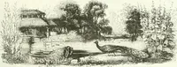 An illustration from Les anglais peints par eux-mêmes : par les sommités littéraires de l'Angleterre (1840)