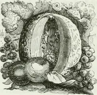 An illustration from Les anglais peints par eux-mêmes : par les sommités littéraires de l'Angleterre (1840)