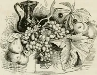 An illustration from Les anglais peints par eux-mêmes : par les sommités littéraires de l'Angleterre (1840)