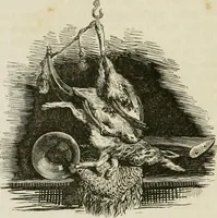An illustration from Les anglais peints par eux-mêmes : par les sommités littéraires de l'Angleterre (1840)